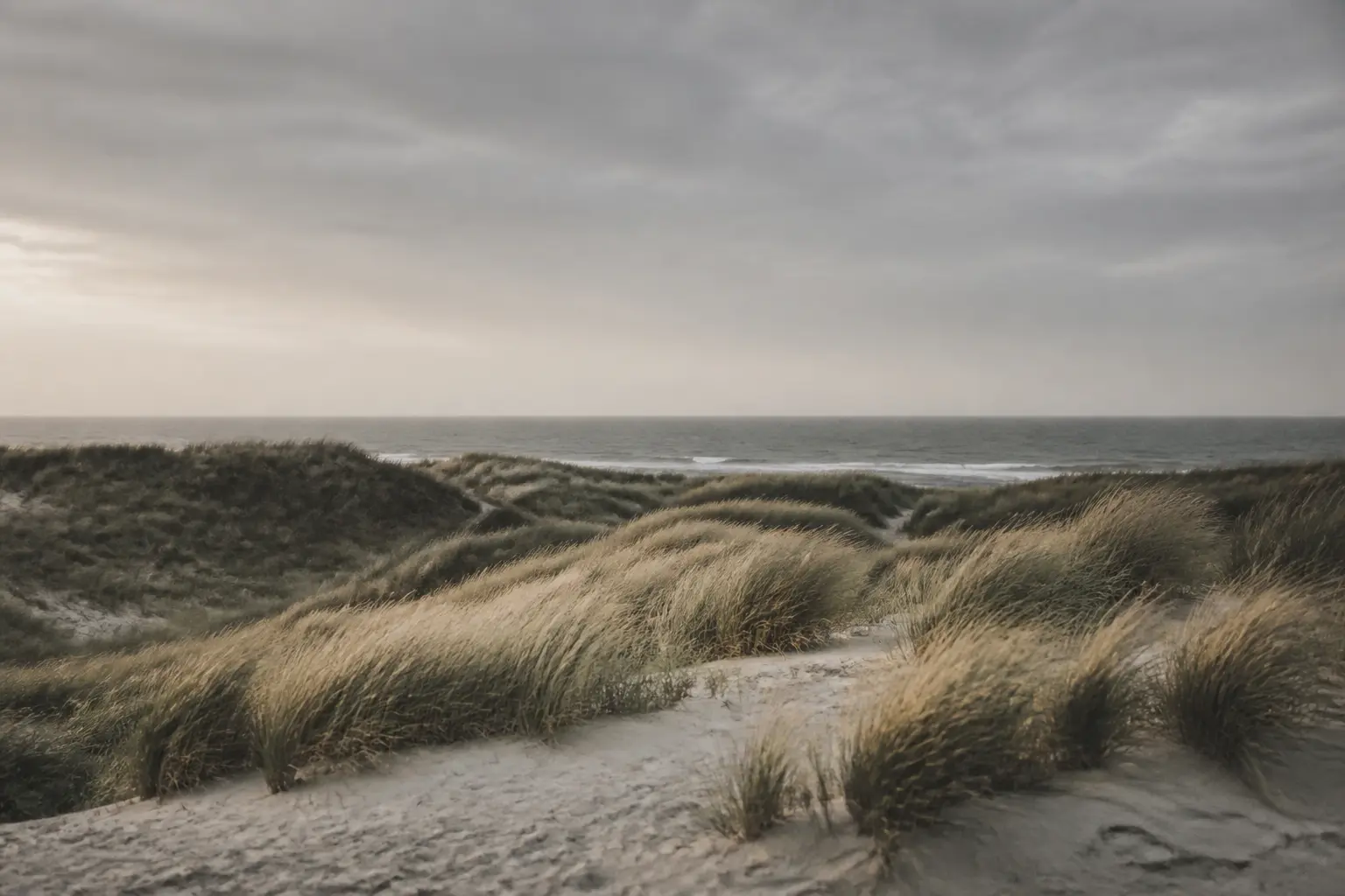 Weite Dünenlandschaft an der Nordsee im gedämpften Licht