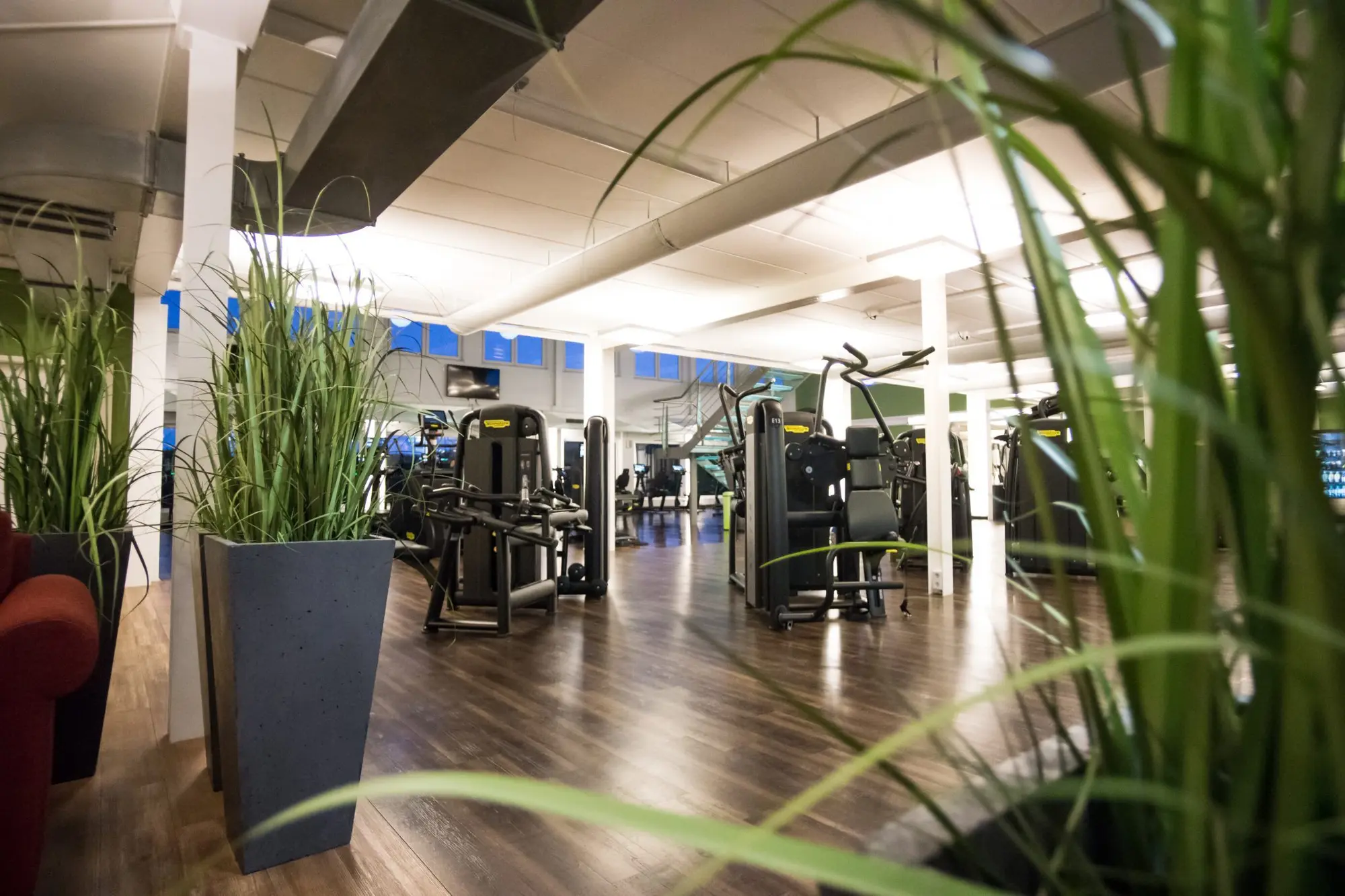 Sylt Fitness GmbH