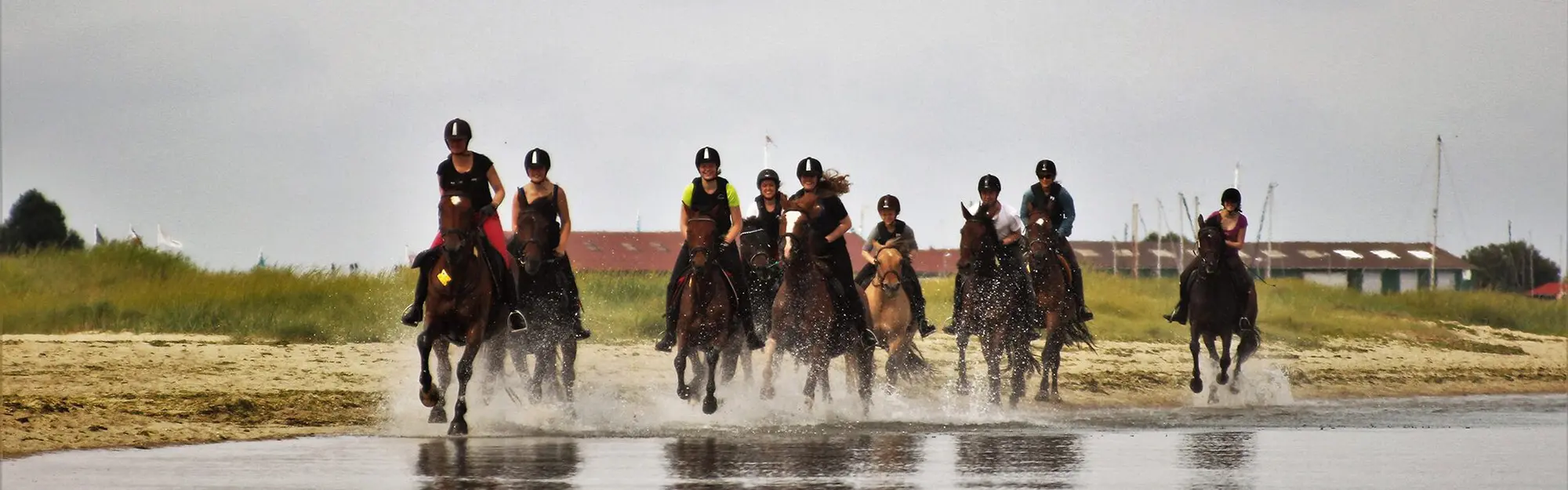 Reiten auf Sylt - Grünhof